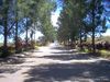 FOR SALE: 240sqm lot in Windsor Heights Residential Estate