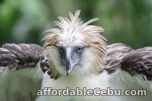 1st picture of Davao tour packages Offer in Cebu, Philippines