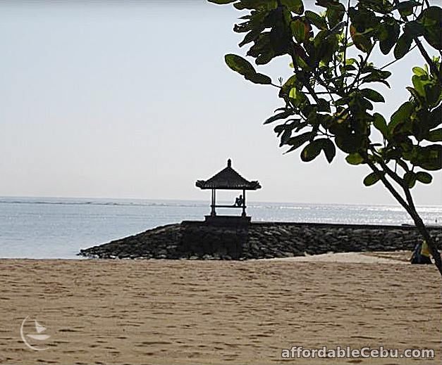 1st picture of 4 days Bali Indonesia Package with hotel tour and meals Offer in Cebu, Philippines