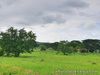 For Sale: Elaro, Nuvali