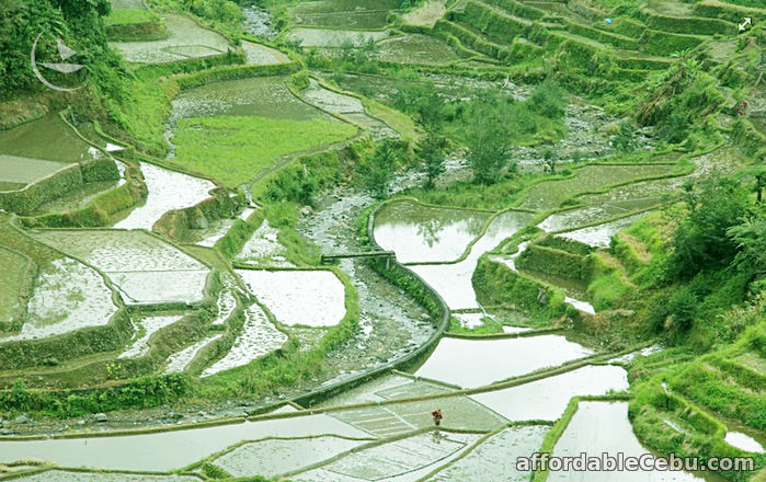 3rd picture of Banaue tour Offer in Cebu, Philippines