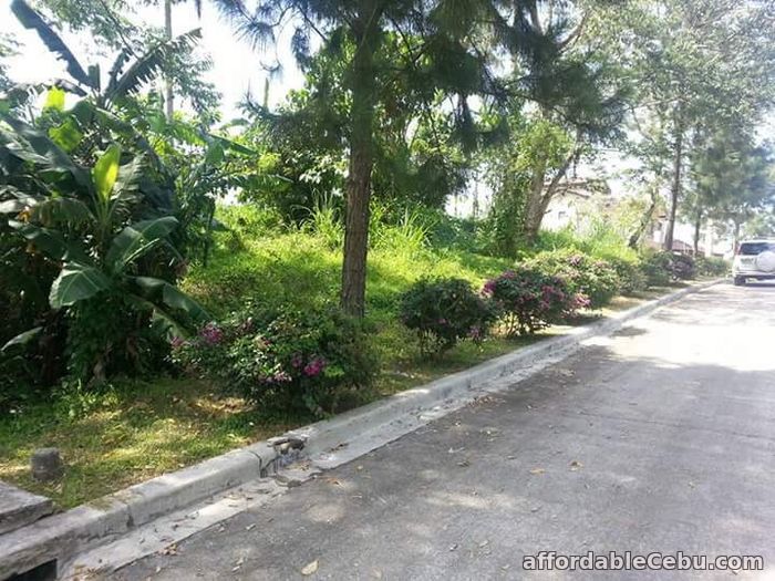 4th picture of FOR SALE: Ponderosa Leisure Farm Village For Sale in Cebu, Philippines