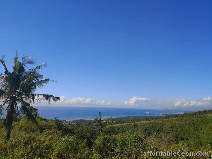 4th picture of Ocean viewing Farm Lots for Sale!!! NAGA For Sale in Cebu, Philippines