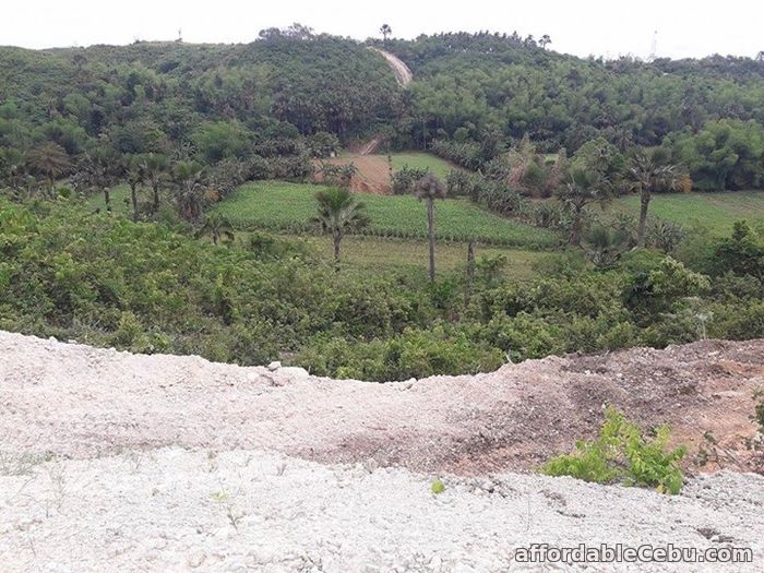2nd picture of Resedential lot for sale in Cosolacion near SM For Sale in Cebu, Philippines