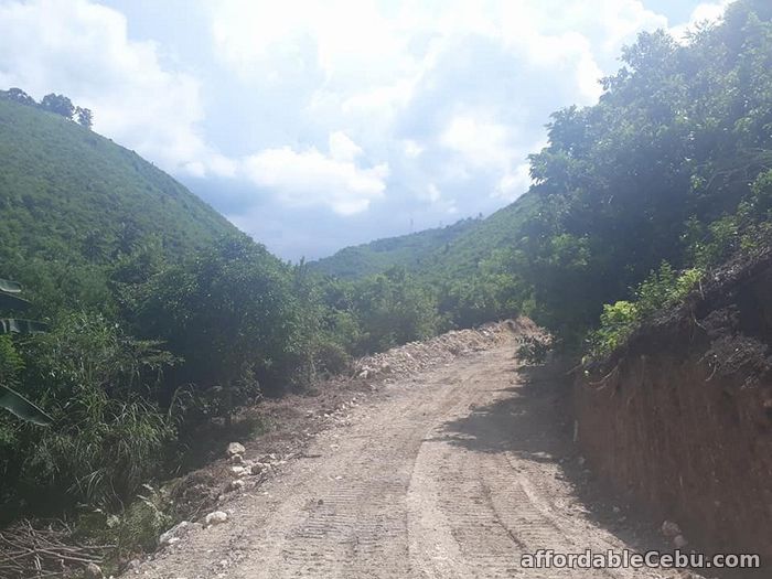 3rd picture of Resedential lot for sale in Minglanilla For Sale in Cebu, Philippines