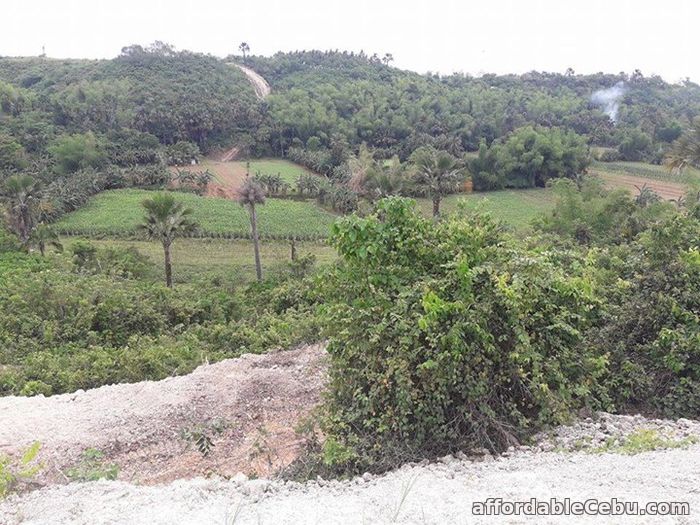 1st picture of Resedential lot for sale in Cosolacion near SM For Sale in Cebu, Philippines