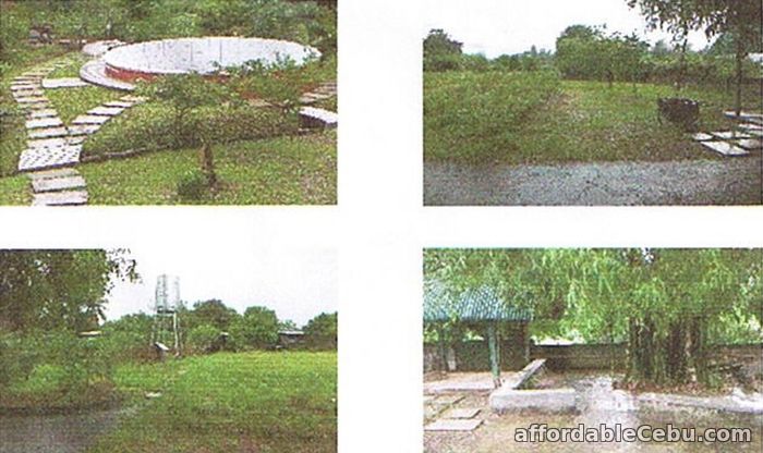 5th picture of FOR SALE: Jardin de Maria For Sale in Cebu, Philippines