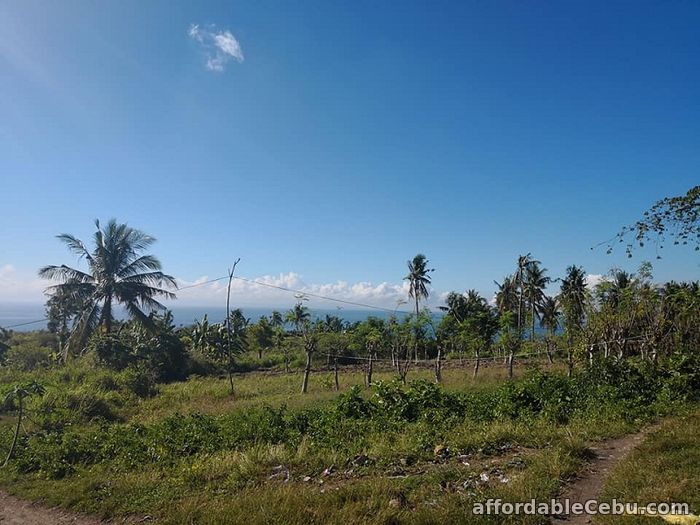 3rd picture of Ocean viewing Farm Lots for Sale!!! NAGA For Sale in Cebu, Philippines