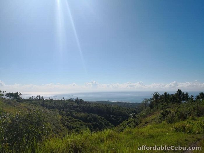 1st picture of Ocean viewing Farm Lots for Sale!!! NAGA For Sale in Cebu, Philippines