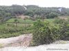 Resedential lot for sale in Cosolacion near SM