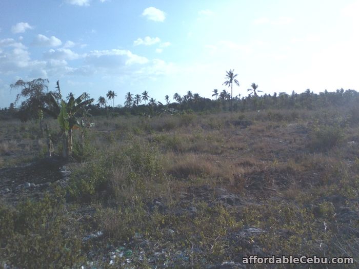 1st picture of Titled lot in Moalboal RUSH SALE BY OWNER For Sale in Cebu, Philippines