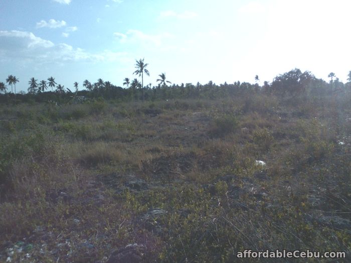 2nd picture of Titled lot in Moalboal RUSH SALE BY OWNER For Sale in Cebu, Philippines