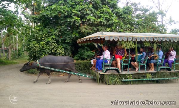 1st picture of Villa Escudero Day Tour Offer in Cebu, Philippines