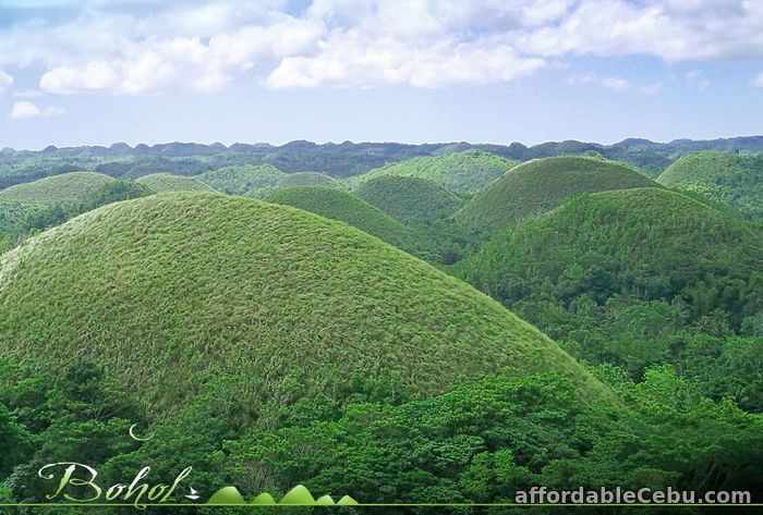 1st picture of 4D3N Bohol Cebu Davao tour Package Offer in Cebu, Philippines