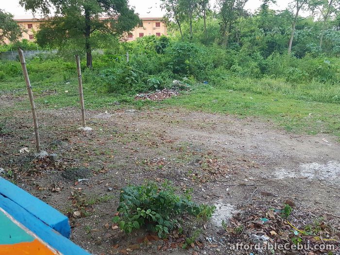 4th picture of Lot For Sale in Mactan Ideal for investment For Sale in Cebu, Philippines