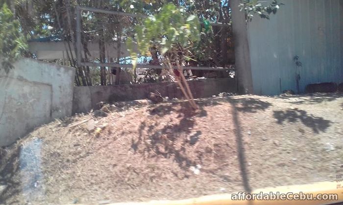 5th picture of Lot for sale Near Airport For Sale in Cebu, Philippines