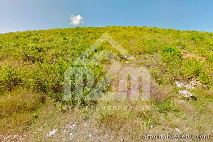 5th picture of Mountain Plains(LOT ONLY) Lupot Sabang, Danao City, Cebu For Sale in Cebu, Philippines