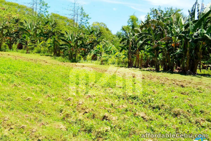 1st picture of Kardava Hillside Subdivision(LOT ONLY) Tabunoc 2, Maslog, Danano City Cebu For Sale in Cebu, Philippines