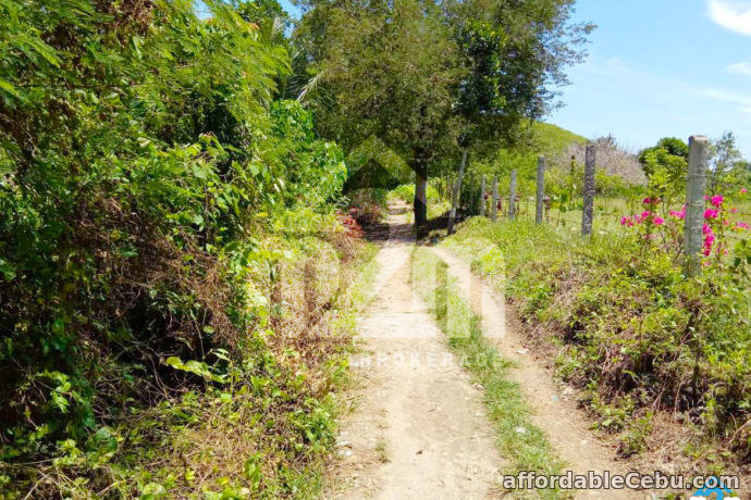 4th picture of Kardava Hillside Subdivision(LOT ONLY) Tabunoc 2, Maslog, Danano City Cebu For Sale in Cebu, Philippines