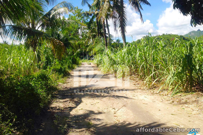 2nd picture of Second City Drive Subdivision(LOT ONLY) Danao City, Cebu For Sale in Cebu, Philippines