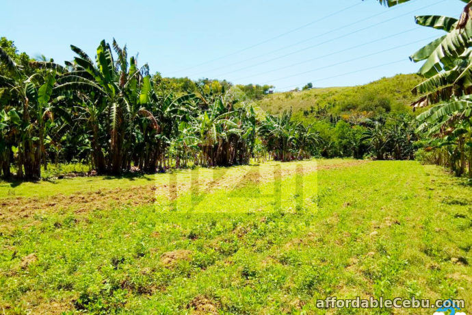 2nd picture of Kardava Hillside Subdivision(LOT ONLY) Tabunoc 2, Maslog, Danano City Cebu For Sale in Cebu, Philippines