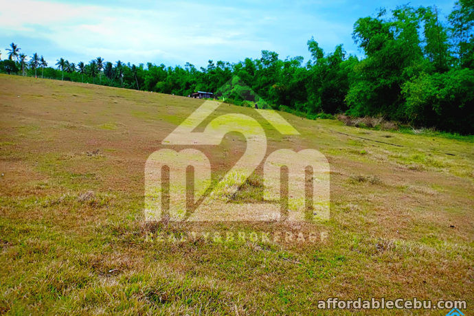 2nd picture of Roseberg Residences(LOT ONLY) Tapilon, Daanbantayan, Cebu For Sale in Cebu, Philippines