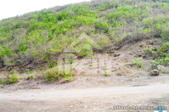 3rd picture of Mountain Plains(LOT ONLY) Lupot Sabang, Danao City, Cebu For Sale in Cebu, Philippines