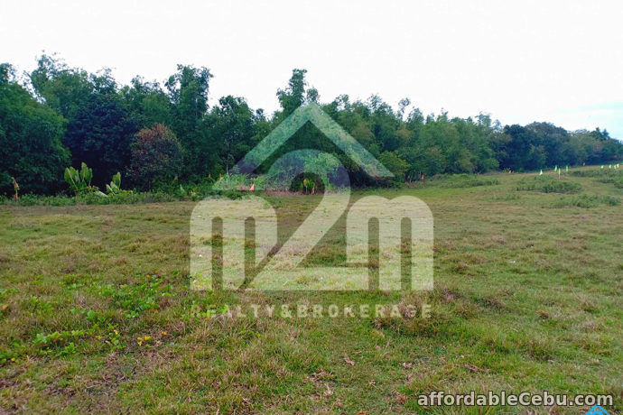 4th picture of Roseberg Residences(LOT ONLY) Tapilon, Daanbantayan, Cebu For Sale in Cebu, Philippines