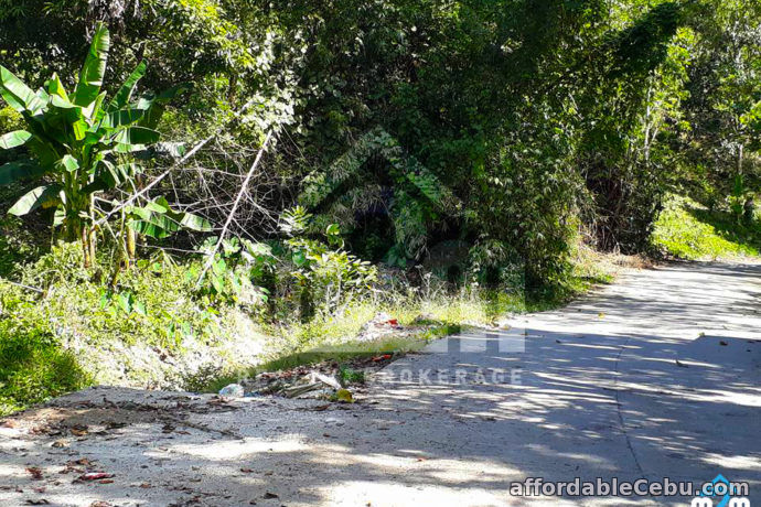 5th picture of Jonhlino Hills Subdivision(LOT ONLY) Sandayong, Danao City, Cebu For Sale in Cebu, Philippines