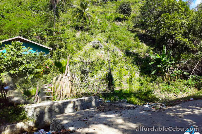 3rd picture of Jonhlino Hills Subdivision(LOT ONLY) Sandayong, Danao City, Cebu For Sale in Cebu, Philippines