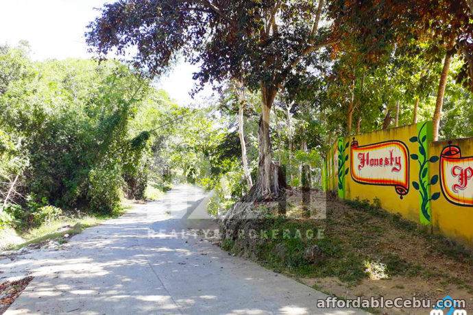 4th picture of Jonhlino Hills Subdivision(LOT ONLY) Sandayong, Danao City, Cebu For Sale in Cebu, Philippines