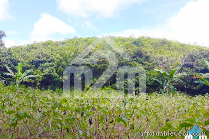 4th picture of Mount Olivo(LOT ONLY) San Vicente Liloan, Cebu For Sale in Cebu, Philippines
