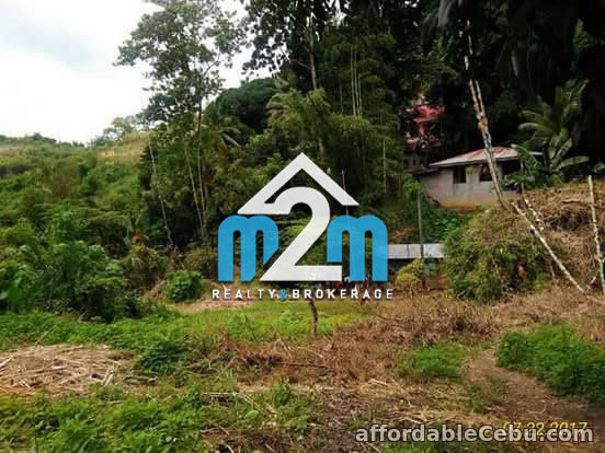 3rd picture of Marco Heights Extention(LOT ONLY) Cabangahan, Consolacion City, Cebu For Sale in Cebu, Philippines