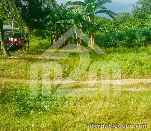 3rd picture of Mount Olivo(LOT ONLY) San Vicente Liloan, Cebu For Sale in Cebu, Philippines