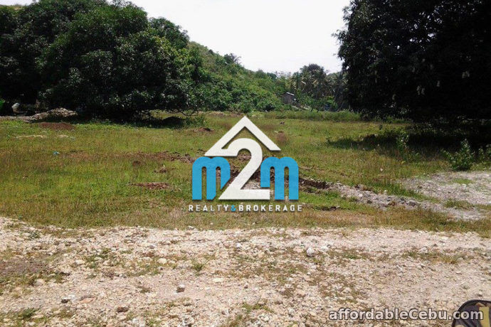 3rd picture of North Camp Subdivision Lot for Sale For Sale in Cebu, Philippines