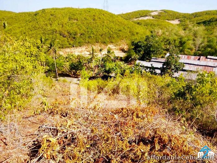 3rd picture of Loue Ville(LOT ONLY) Cogon, Compostela, Cebu For Sale in Cebu, Philippines