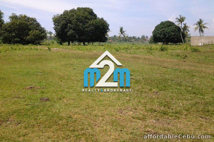 2nd picture of North Camp Subdivision Lot for Sale For Sale in Cebu, Philippines