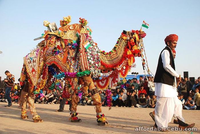 3rd picture of Pushkar Camel Fair 2018 Offer in Cebu, Philippines