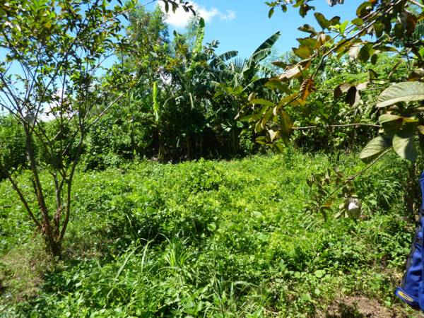 2nd picture of FORSALE RESIDENTIAL LOT.  TAYUD , LILOAN 500K For Sale in Cebu, Philippines