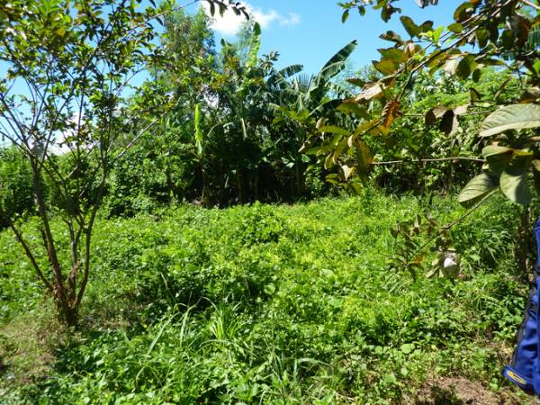 2nd picture of FORSALE RESIDENTIAL LOT.  TAYUD , LILOAN 500K For Sale in Cebu, Philippines