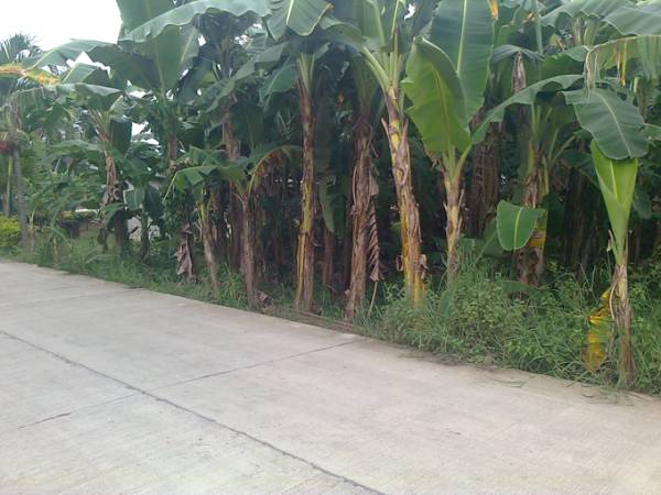 1st picture of SON-OK RESIDENTIAL LOT CONSOLACION 800SQM. For Sale in Cebu, Philippines
