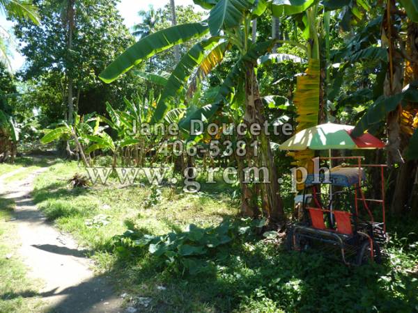 2nd picture of FORSALE RESIDENTIAL LOT.  COTCOT, LILOAN PHP2300/SQM For Sale in Cebu, Philippines