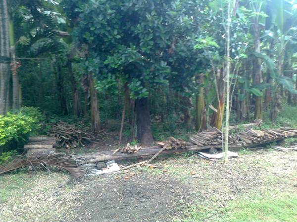 5th picture of SON-OK RESIDENTIAL LOT CONSOLACION 800SQM. For Sale in Cebu, Philippines