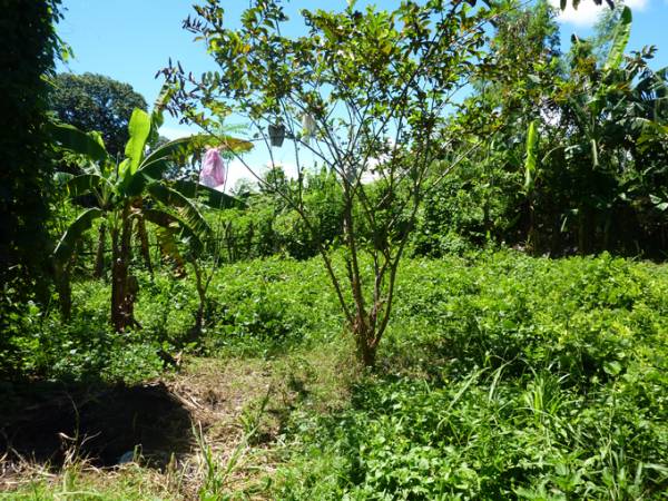1st picture of FORSALE RESIDENTIAL LOT.  TAYUD , LILOAN 500K For Sale in Cebu, Philippines
