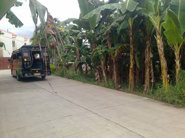 2nd picture of SON-OK RESIDENTIAL LOT CONSOLACION 800SQM. For Sale in Cebu, Philippines