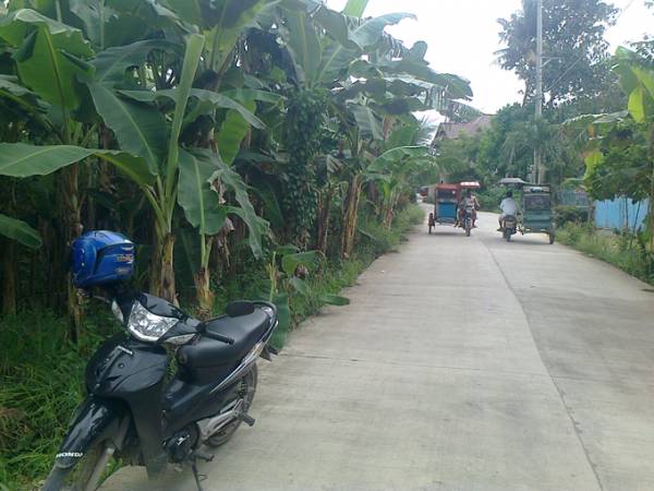 4th picture of SON-OK RESIDENTIAL LOT CONSOLACION 800SQM. For Sale in Cebu, Philippines