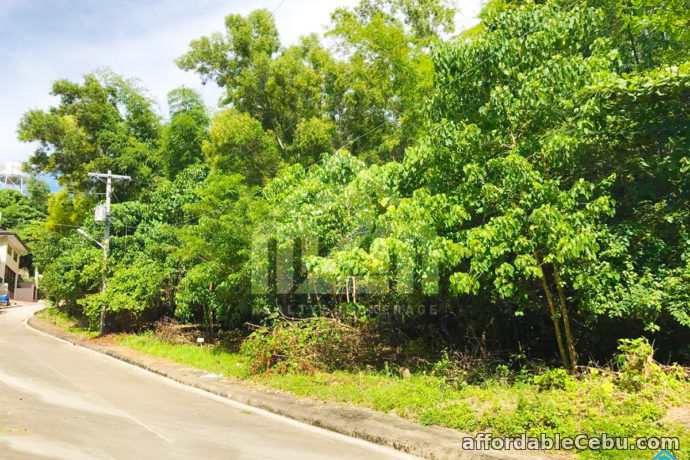 5th picture of Vista Grande Subdivision(LOT ONLY) Bulacao, Talisay City, Cebu For Sale in Cebu, Philippines