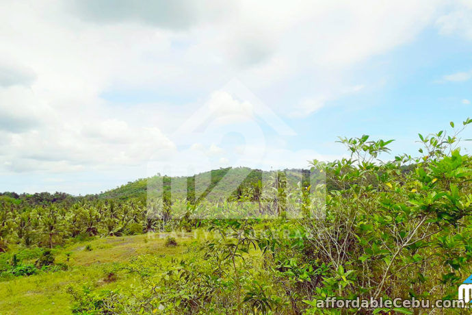 4th picture of Costa Norte Residences(LOT ONLY) San Remigio, Cebu City For Sale in Cebu, Philippines