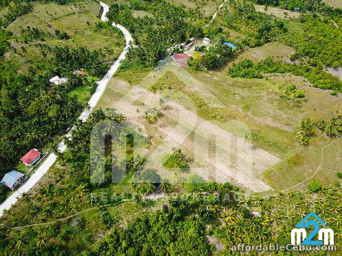 5th picture of Justina Hills Estate(LOT ONLY) Calangcang, Badian, Cebu For Sale in Cebu, Philippines