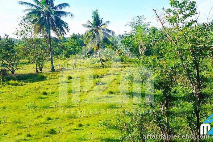 3rd picture of St. Joseph Ville(LOT ONLY) Can-asujan Carcar City, Cebu For Sale in Cebu, Philippines